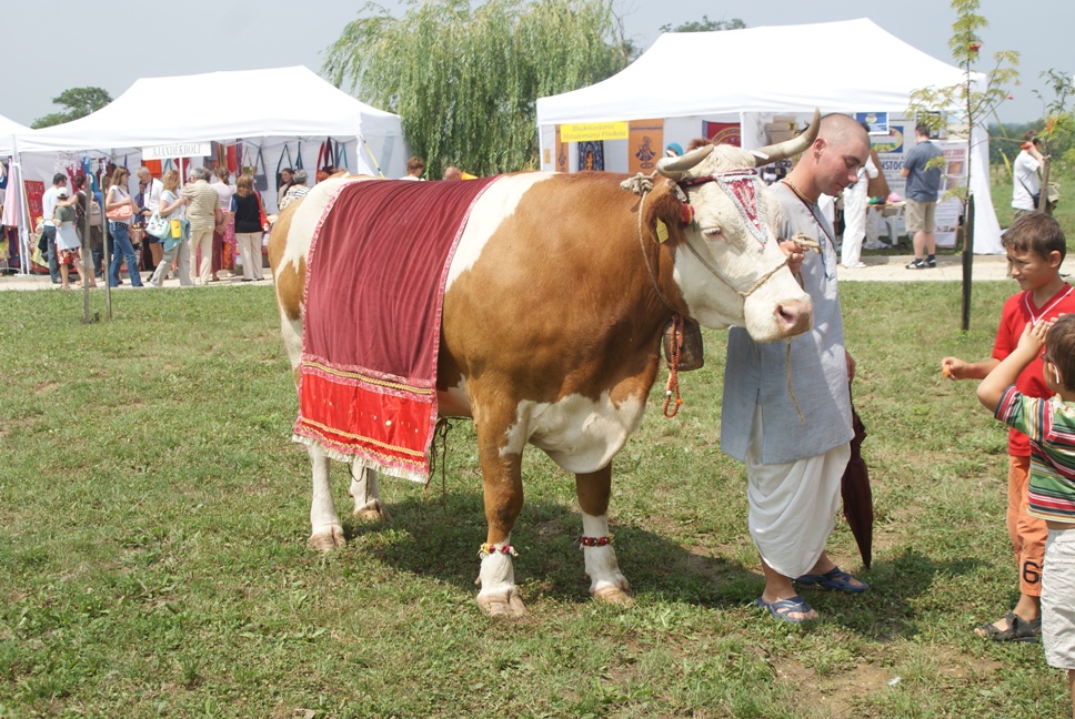 DSC00942.JPG (968×648)