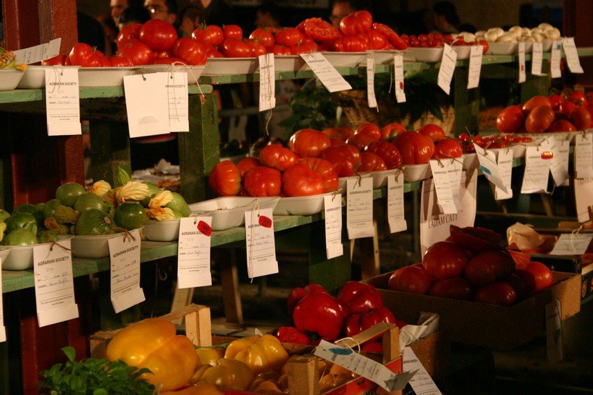 MOelta2007.jun213.jpg (860×573)