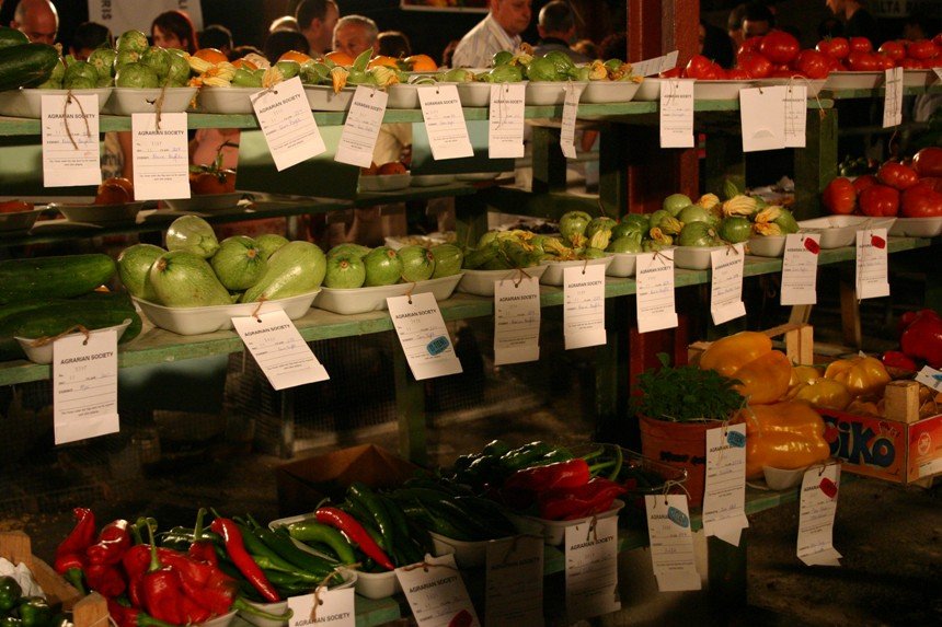 MOelta2007.jun214zOIldsOogszOopsOogversenycsOIki.jpg (860×573)