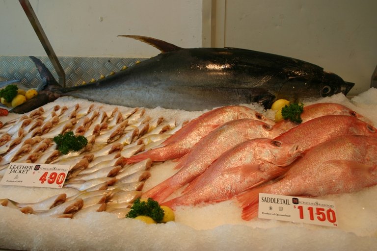 sydneyelsUAkOopek022csOIki25.jpg (768×512)