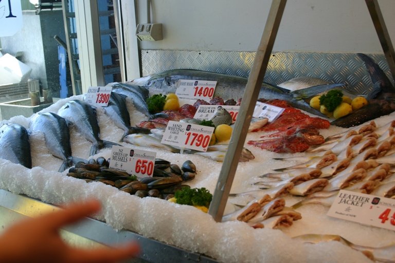 sydneyelsUAkOopek023csOIki25.jpg (768×512)