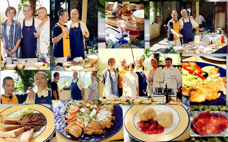 visegrOedvideoforg.jpg (800×500)