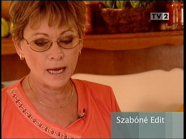 vlcsnap2012012817h15m57s65.png (768×576)